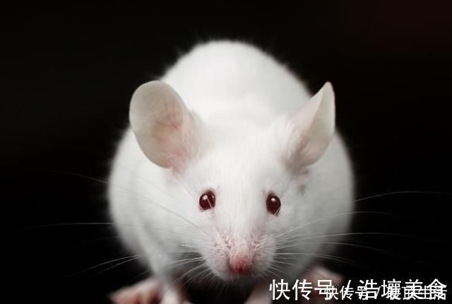 干细胞|胎儿竟会在肚子里偷偷“保护”妈妈，这些暖哭了的表现你知道吗？