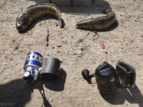 警惕！新型非法捕鱼正在蔓延，其行为极具危险性、害人害已