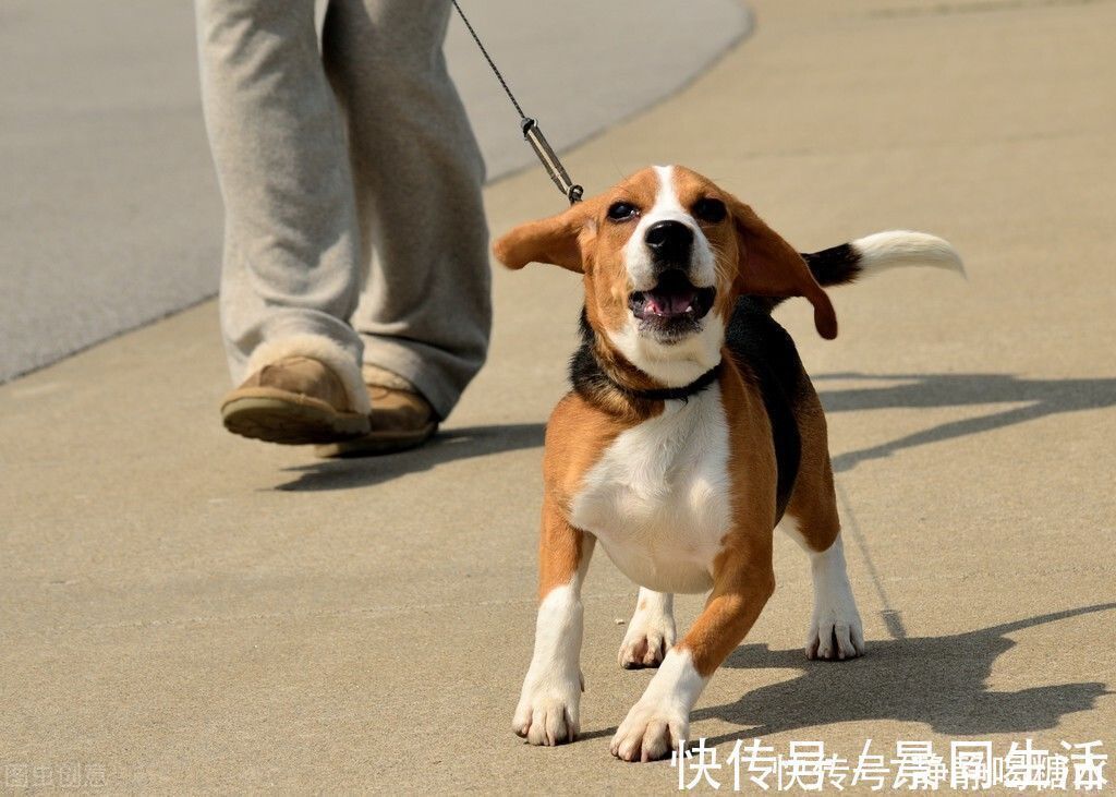 经验|毕业2年，我和男友是如何买下第一套房的？分享两个经验给大家