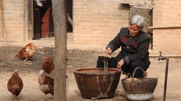  良药|一味不被人熟知的良药，李时珍却说它善于“补气除热、敛汗止汗”