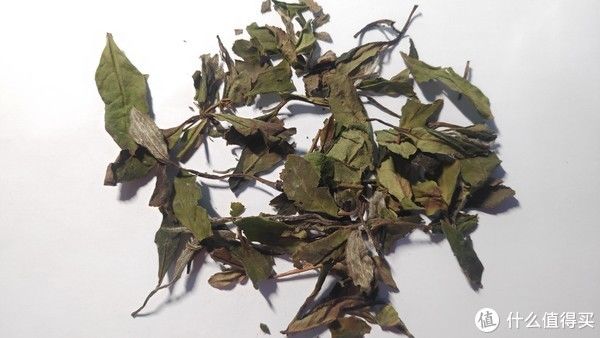 究竟|白茶寿眉详解，究竟是枯树叶还是茶珍宝？