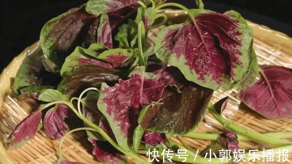 排行榜|补钙第一名不是牛奶!这份补钙排行榜请收藏,照着吃能长个