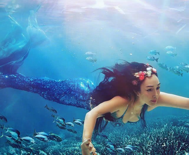 潜入|钟丽缇夫妇潜入海底拍人鱼大片,老公因一物,惨遭网友吐槽海王