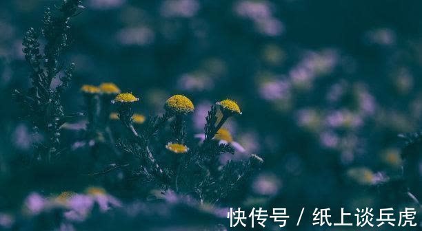 爱意|初入十月,相思如梦,保持爱意,内心光明,重燃爱火,陪到最后