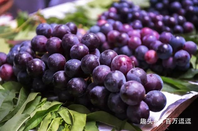 好处|葡萄被誉为“美女的保护果”,常吃还有这些好处!你还不知道吗