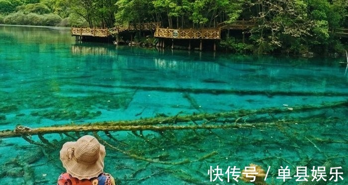 假期|2021年中秋假期旅游数据：周边游需求旺盛