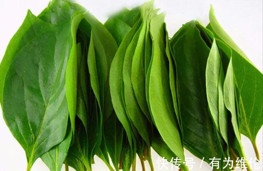 维生素c|食物养生很重要,3种食物换着吃,滋补身体,改善血液循环!