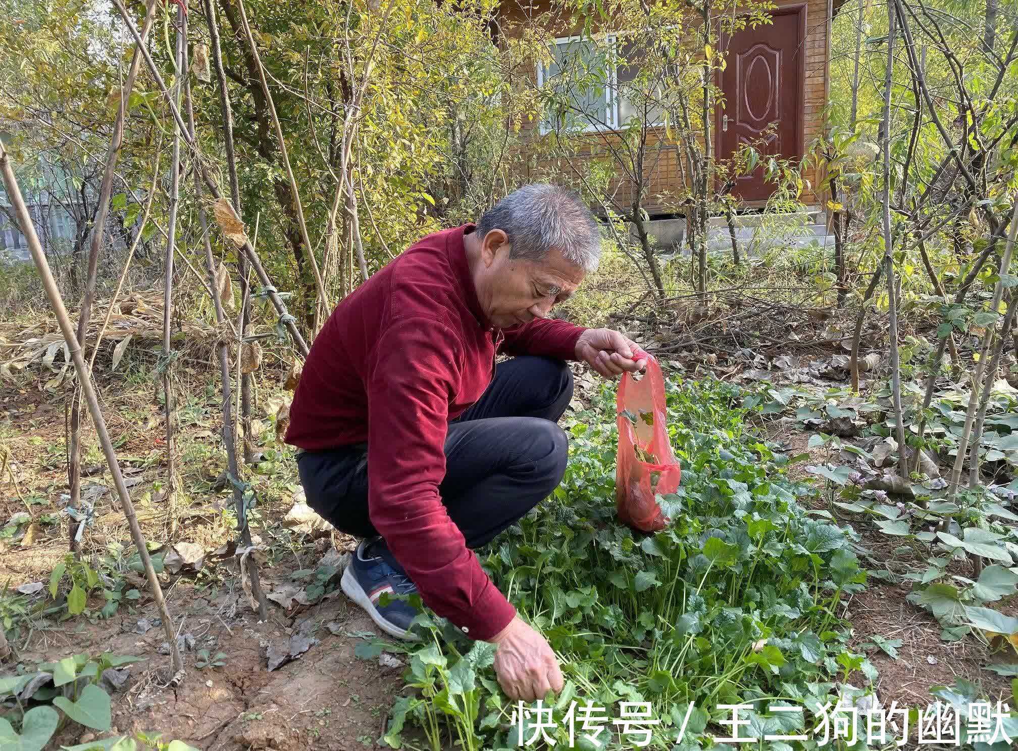 怀孕|67岁高龄怀孕选择生下女儿,引起全网争议的枣庄一家怎么样了?