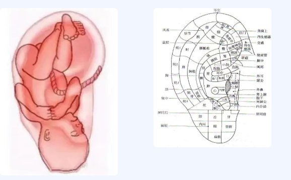 养生|今日霜降，区第三人民医院医生提醒：秋季养生有妙招