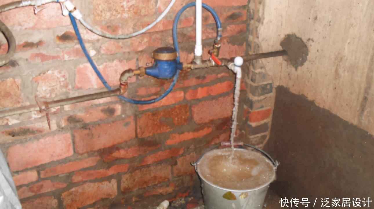 长寿冠海棠花,高颜值老桩盆景!打理好这些开花早又多