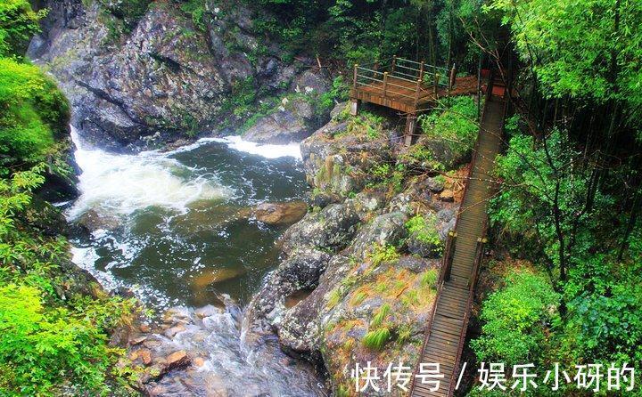 景区|池州一冷门自然景区，植物茂密富含生机，四季皆美，知道的人却少