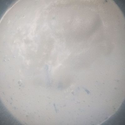 茶叶|制制珍珠奶茶