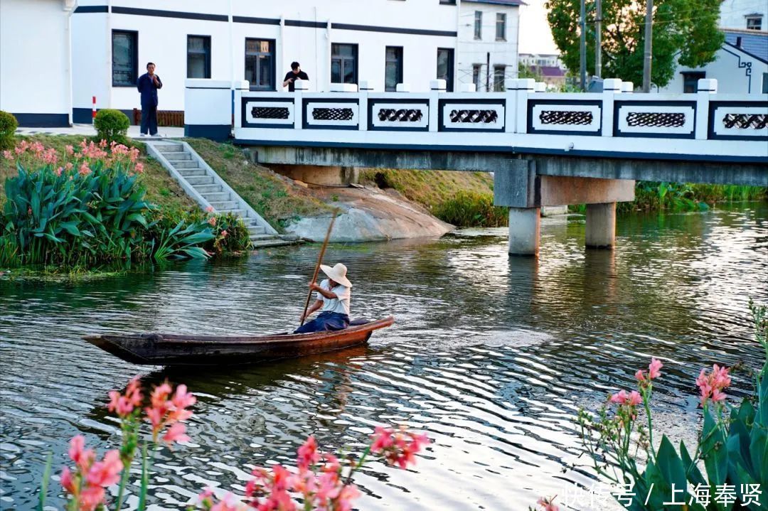 四团这个村获评“最美宅基”,美不美,看图!