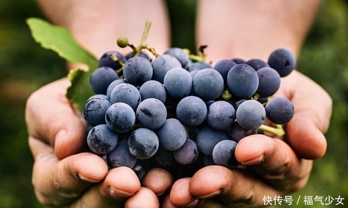 夏天|夏天肝火旺的人，多吃这些下火水果，养肝护肝两不误！