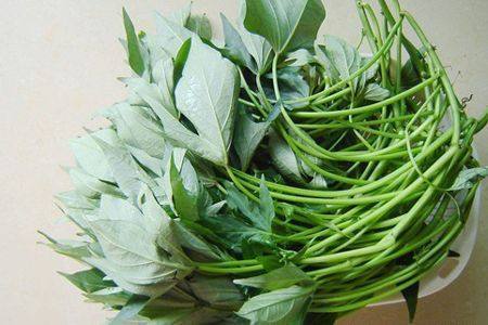 叶子|以前用这种叶子喂猪,其实它是一种菜,现在花钱买着吃