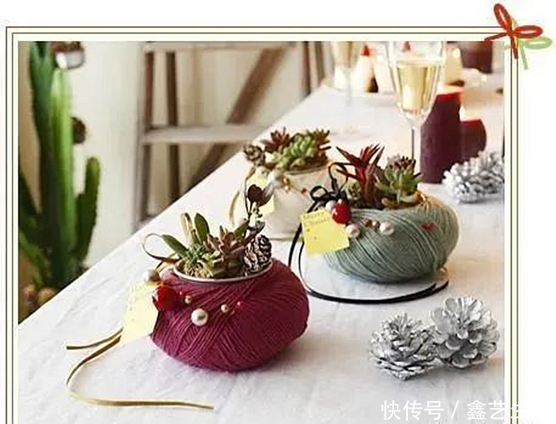 最全多肉养护法!十足干货!自己收藏就不用问别人啦!