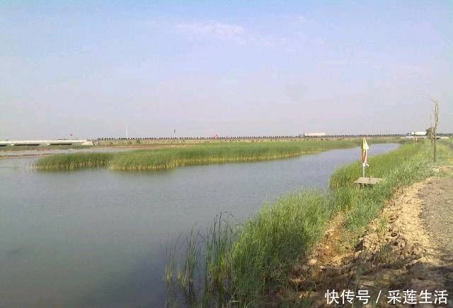 夏季|夏季钓鱼技巧,热天不要筑巢,简单的方法可以让你钓到更多的鱼