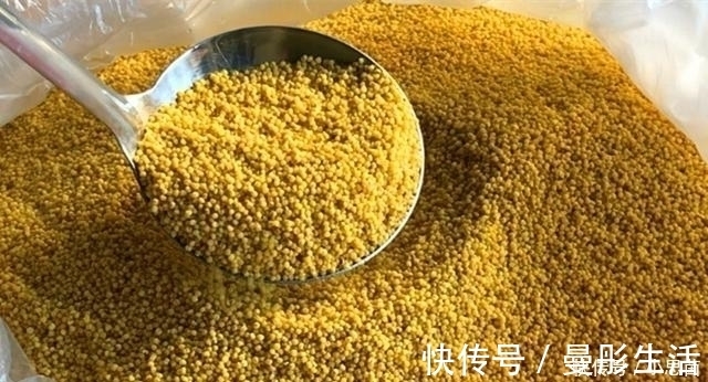 熬小米粥时，“最忌”直接下锅，多加1步，米油浓厚，香糯好喝