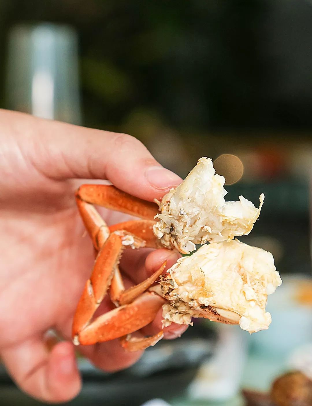 集渔|鲜活的海鲜,无限量的小吃,都能勾起吃货的馋虫