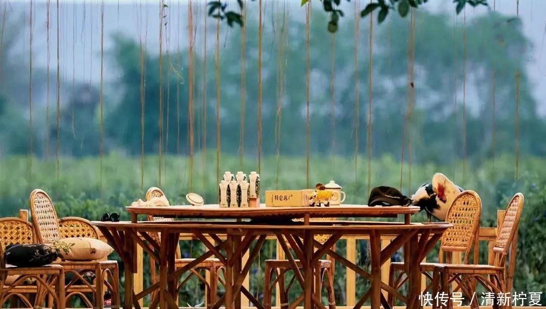 《向往的生活5》开始录制,新一季的蘑菇屋,还会和第四季一样吗