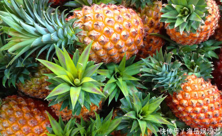 人到中年|人到中年要預(yù)防血栓！常吃此物可清除病變組織，利于血栓患者康復(fù)