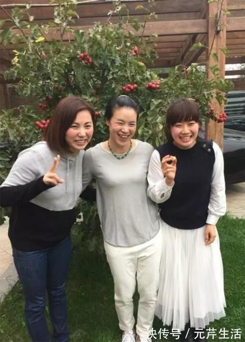 庭院|奥运冠军王楠的家,在庭院为狗狗搭建房屋,家中摆满了奖杯