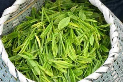 以下四种是天然的“换血食物”,越吃越长寿,40岁的人尤其要多吃