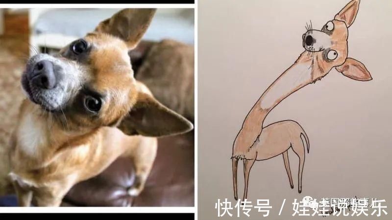 pet#随手涂鸦,自己觉得是“垃圾”的画作,没想到却在网上卖疯了