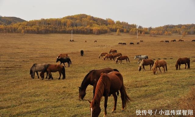 “天朝上国”论：近代中国落后是中华文明的锅？顽固不化的是清朝