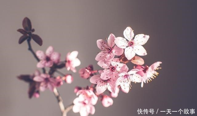 酬张少府|20首传诵千古的诗词,全是顶级名篇,每一首都值得背下来