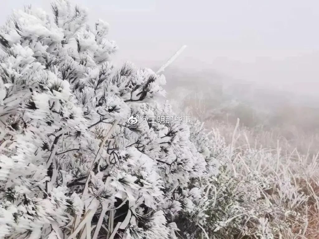 西伯利亚|5.2℃“速冻”！厦门人先别哭！3波冷空气正排队发货