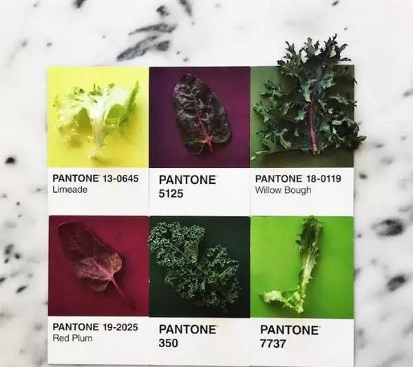 设计师|设计师是好色之徒吧不然怎么能拍出这组创意十足的食物色卡