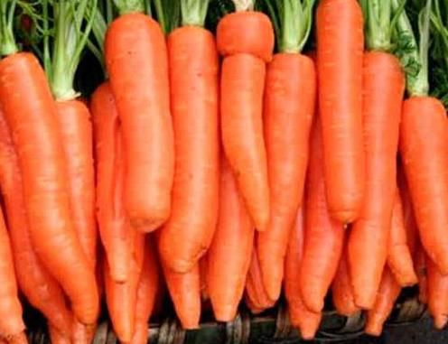 植物蛋白|秋季对身体超级好的3种食物,美容养颜,滋润肌肤