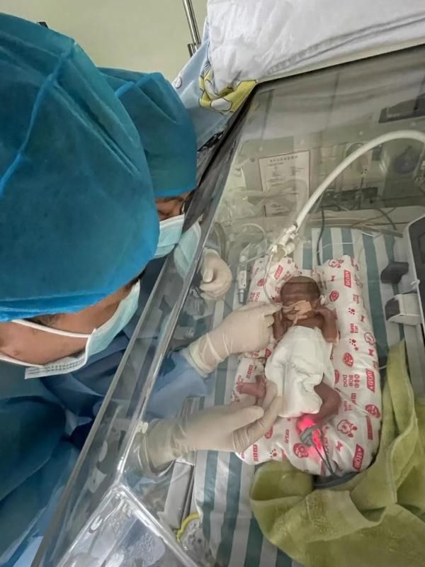 体重|100多天,我和弟弟在小箱子里“长出”了肺