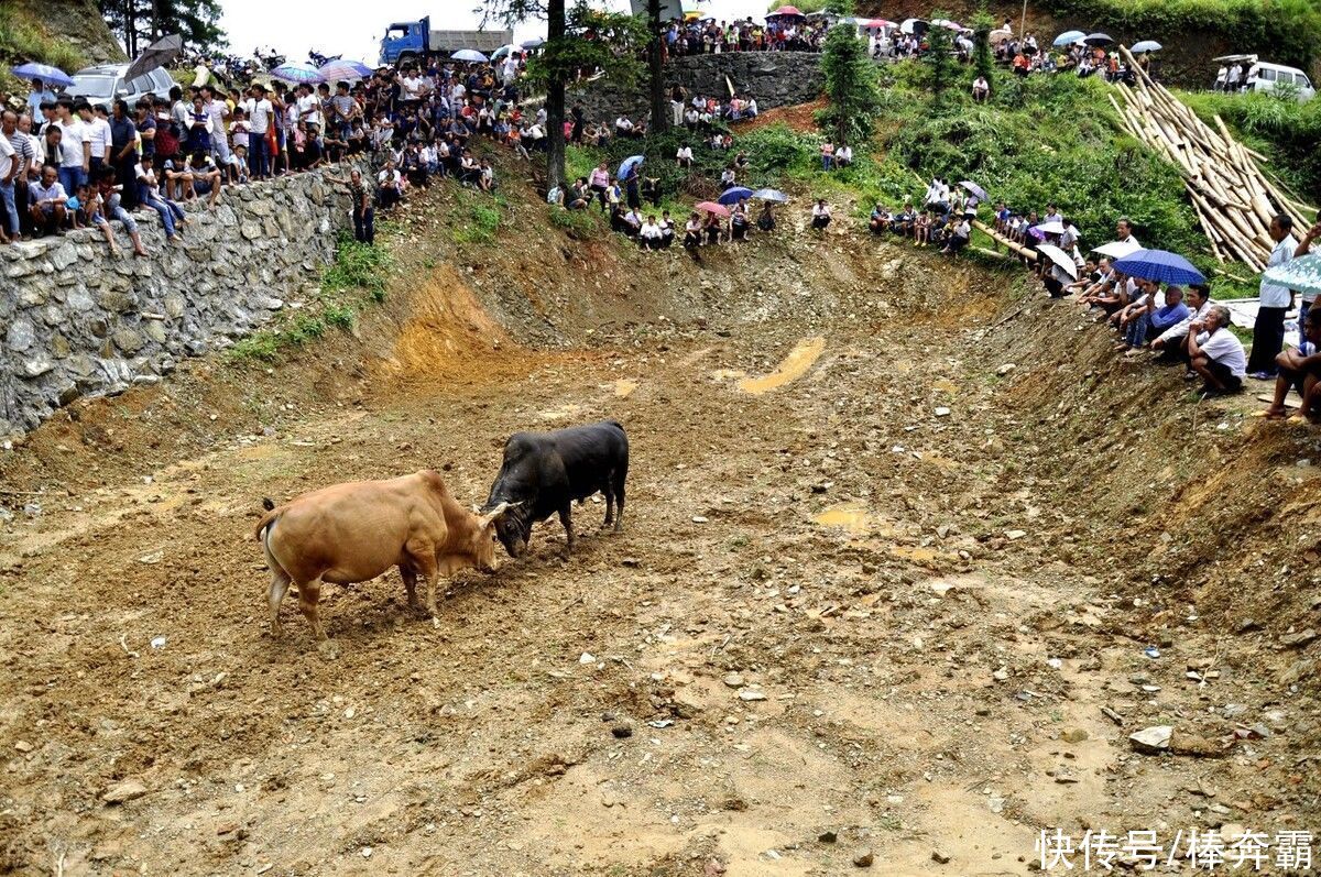 节气|大暑临近，农村俗语“大暑热不透，大热在秋后”，今年秋后热不热