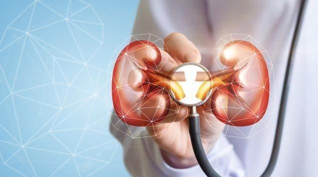 过程|高血压病友不想“肾早衰”,拖累下半生!降压过程中5点别大意