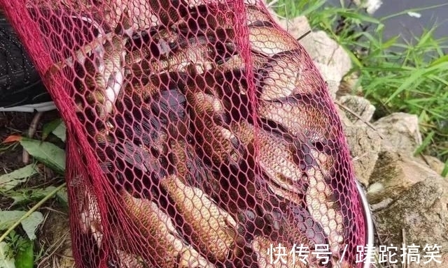 秋冬季野钓的真实状况,没多少人愿意讲实话,因为现实很残酷