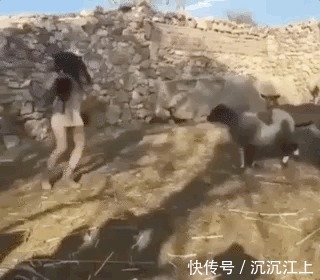 |搞笑GIF：女生是扎马尾辫好看，还是把头发放下来好看？