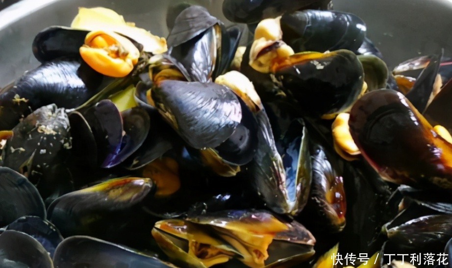 3月正当吃的海鲜,肉肥味鲜美营养高,4块钱一斤,错过可惜了