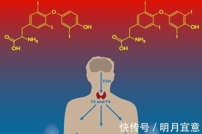 雄性激素|男性不改掉这五个习惯，雄激素早晚会“告急”，很多男性身不由己