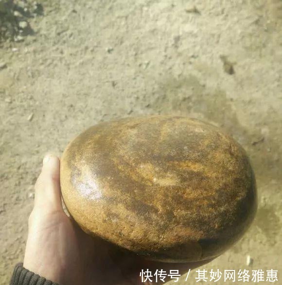 花友|大爷用石头来养花,越养越值钱,有人出1000块也不卖!