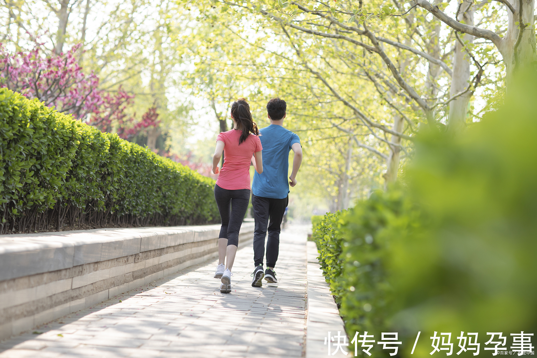 子宫内膜异位症|备孕一个月就中,靠的是这些备孕技巧!