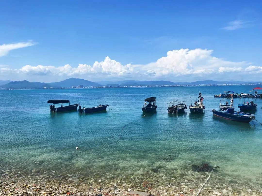 冲浪板|等一个人，陪我去海南“猫冬”