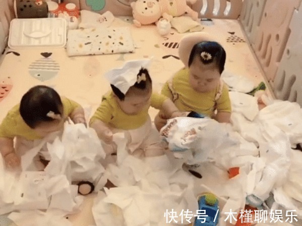 小眼神|“拆家女团”三胞胎宝宝走红,中间那个一脸无辜,却数她撕得最欢