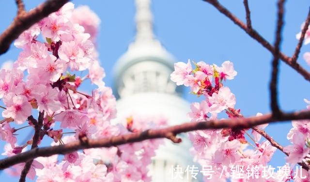 缘分|旧情复燃，缘分未尽，兜兜转转，迎接良人