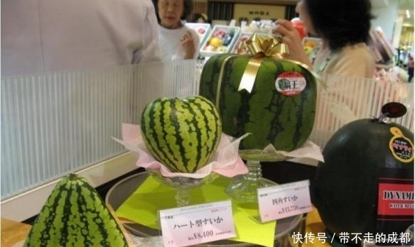 日本|西瓜在日本是奢侈品,为什么会那么贵呢?