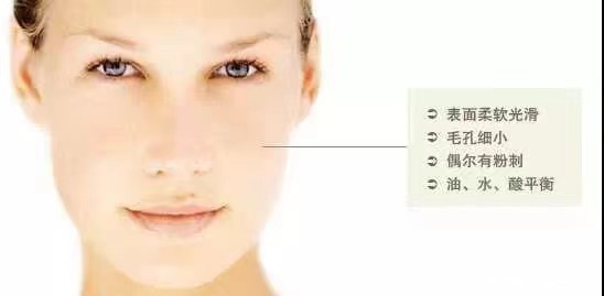 美容师课堂：皮肤学之皮肤的类型