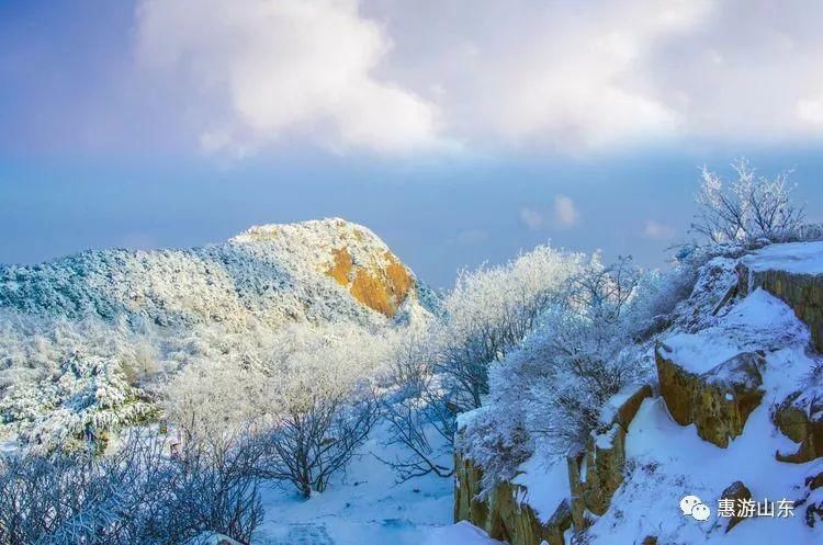 泰山银装素裹后石坞，雪松玉树赛仙境！