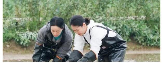 向往|那英調侃張子楓：你身邊的朋友誰最有錢？妹妹的回復引全場大笑