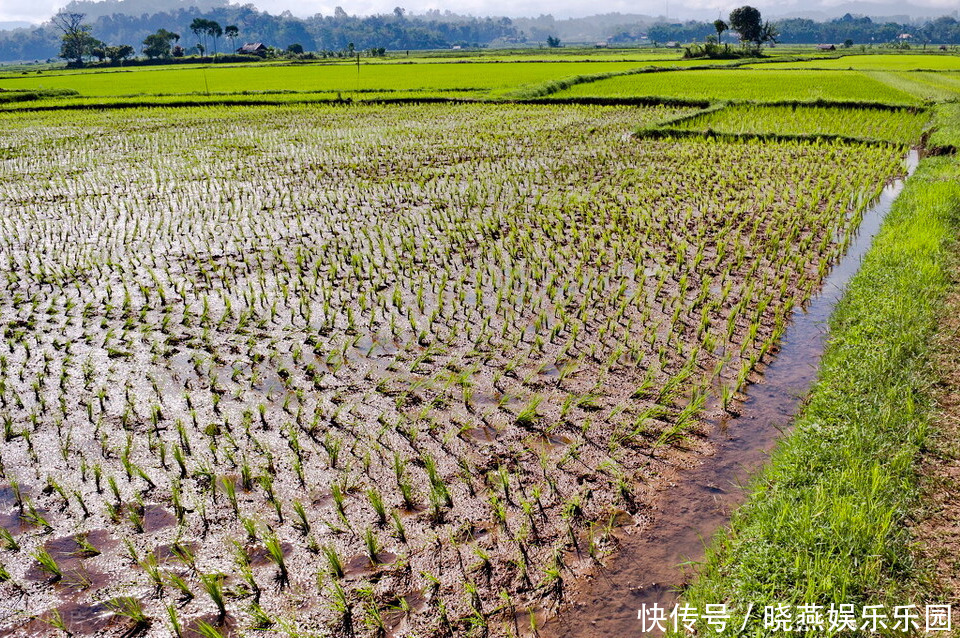 农村老话“男人三件宝,丑妻薄田破棉袄”,啥意思?为何这么说?